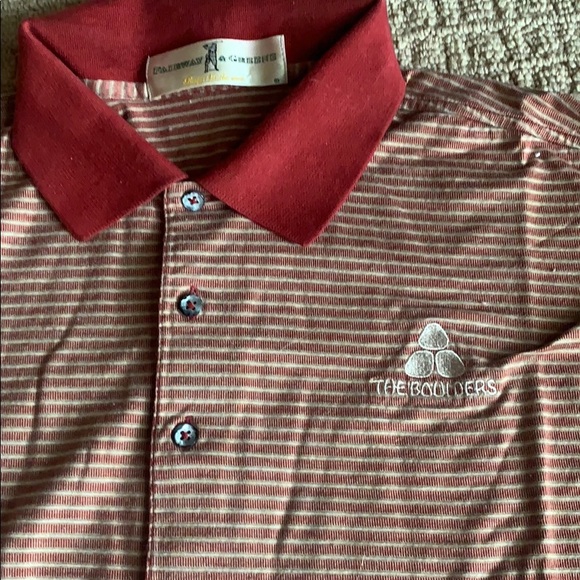 Polo - Picture 2 of 2